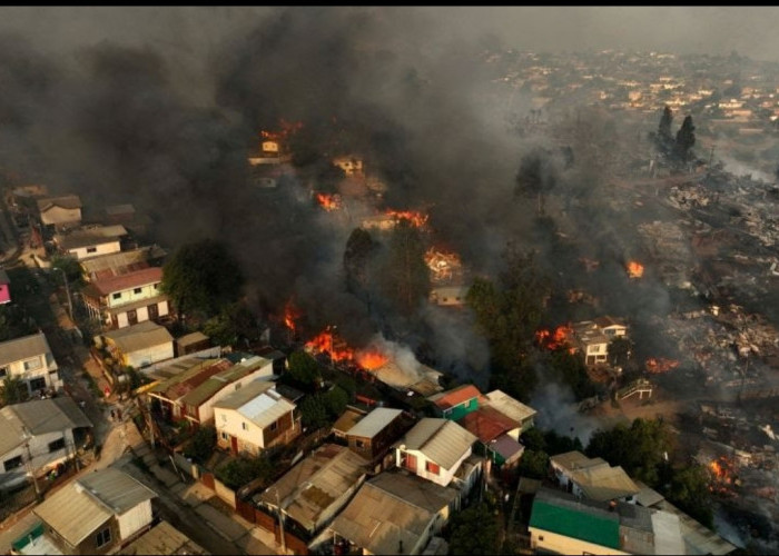 Kebakaran Hebat di Hutan Chile, 51 Orang Tewas