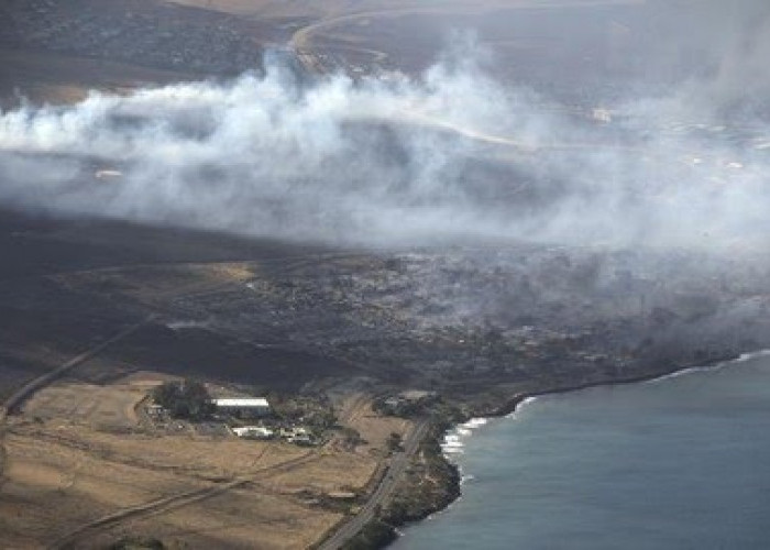 Kebakaran Hebat di Hawaii, 55 Orang Tewas, Ratusan Rumah Ludes