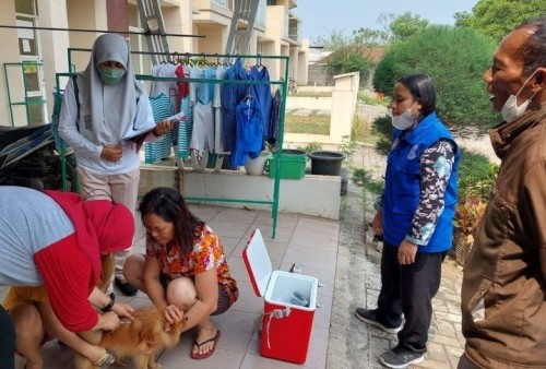 Ratusan Hewan Peliharaan di Kabupaten Tangerang Jadi Target Vaksin Rabies