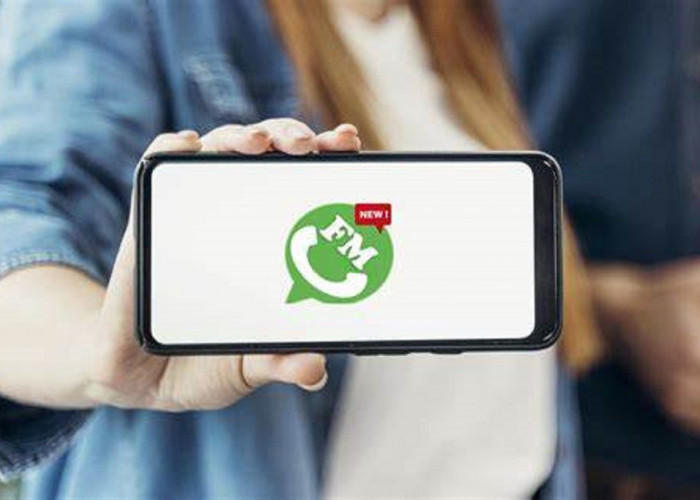 Download FM WhatsApp Terbaru 2023, Fitur Privasi Lebih Lengkap dan Anti Ban