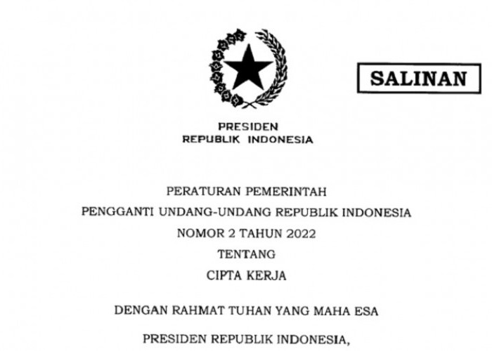 Soal Jokowi Terbitkan Perppu Ciptaker, Begini Respon DPR