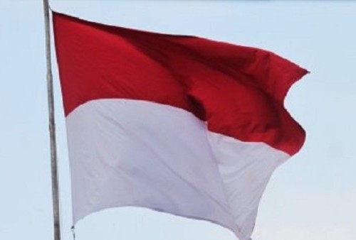 Bendera Merah Putih Berhasil Dibentangkan di Dasar Laut Manokwari