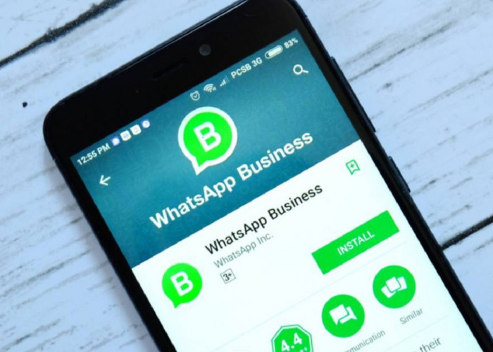 Kelebihan dan Kekurangan WhatsApp Business: Pelaku Bisnis Harus Tahu, Nomor 4 Wajib Dibikin! 