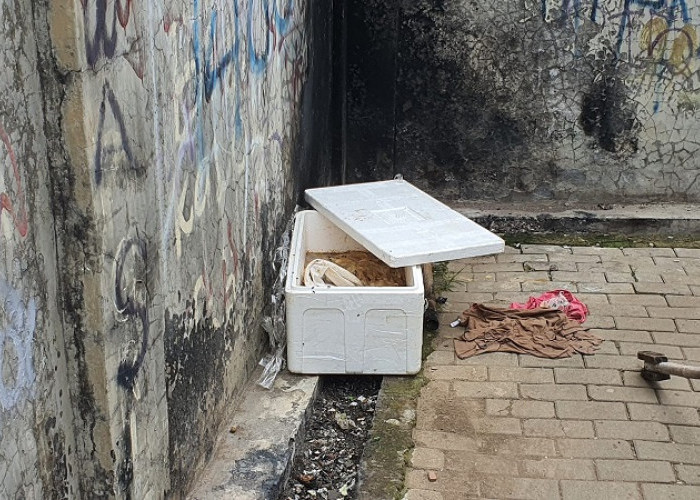 Warga Gang Strada 2 Bekasi Dihebohkan Penemuan Kotak Berbau Bangkai, Isinya Tak Terduga