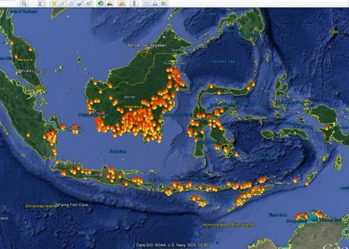 Ngeri, Wilayah Sekitar Ibu Kota Negara Nusantara Rawan Kebakaran Hutan, Hari Ini 75 Titik Panas Terdeteksi