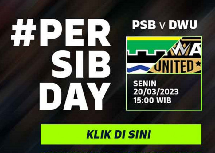 Link Live Streaming BRI Liga 1 2022/2023: Persib Bandung vs Dewa United
