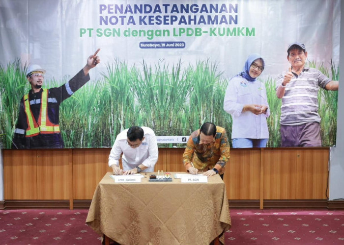 Dukung Program Ketahanan Pangan Komoditi Gula, LPDB-KUMKM MoU dengan PT Sinergi Gula Nusantara