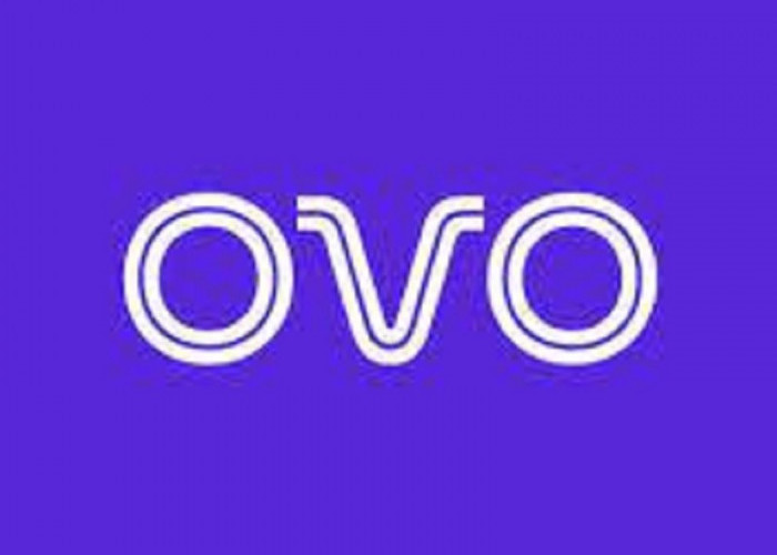 Cara Dapatkan OVO Point Melalui Aplikasi dan E-commerce, Cek di Sini Mudah Banget!