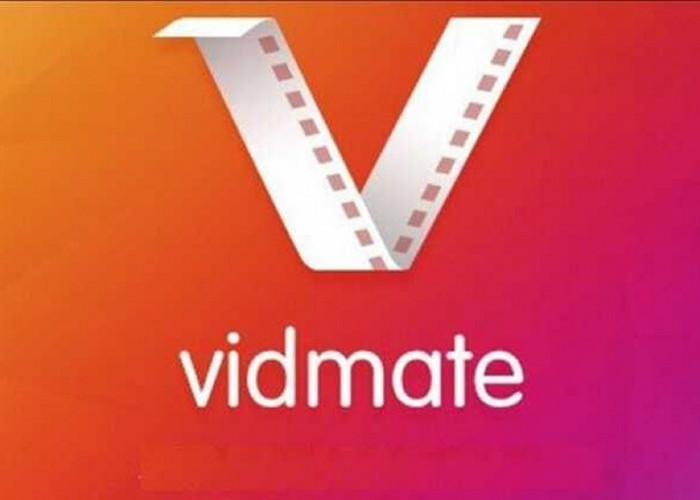 3 Cara Download Video TikTok Tanpa Watermark Pakai VidMate Apk Resmi: Lebih Mudah dan Gratis!
