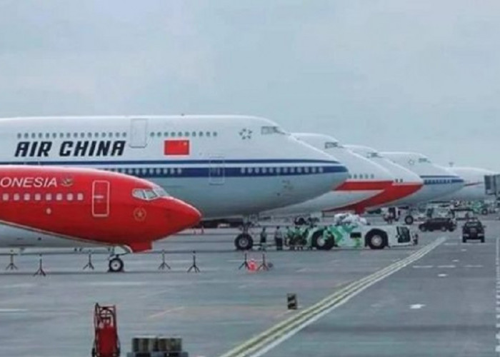 Unik! Pesawat Jokowi Paling 'Mungil' Dibandingkan Milik Presiden China Hingga Korea Selatan  