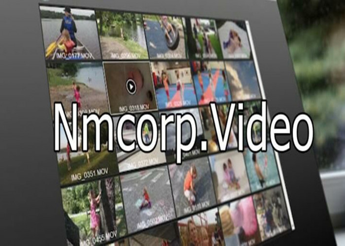 Gunakan Link Vidmate Apk buat Download Film di Situs nmcorp.video yang Diblokir  