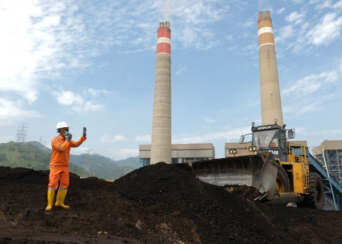 COP 27 Mesir: Menko Luhut Tegaskan Langkah Indonesia Dalam Pengurangan Emisi Karbon
