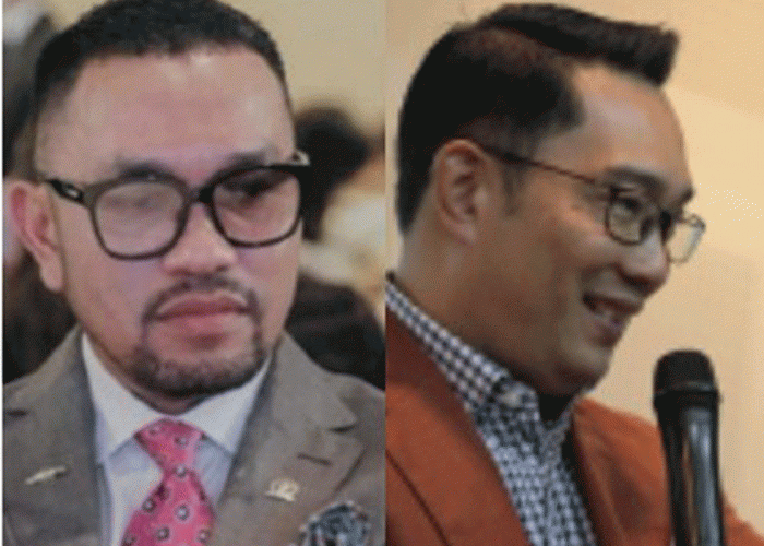 Pengamat Sebut Tak Hanya Sahroni dan Ridwan Kamil yang Masuk Bursa Pilkada DKI, Lalu Siapa Lagi?