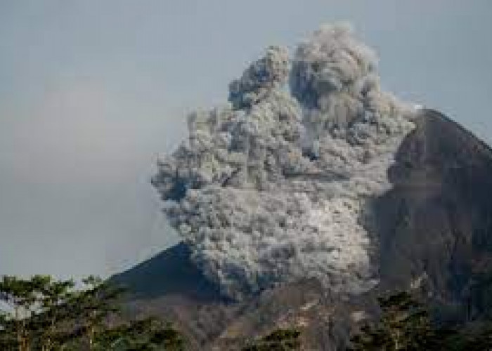 Gunung Merapi Masih Aktif, Waspada Potensi Bahaya Guguran Lava di Sektor Selatan-Barat Daya 