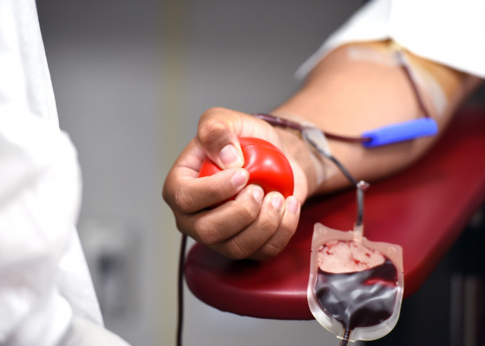 Blood Unity Gandeng Gen Z dan Milenial Peringati Hari Donor Darah Sedunia