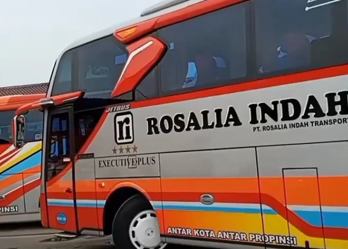 Ini Daftar Alamat dan Kontak Agen Resmi Bus Rosalia Indah di Jabodetabek 