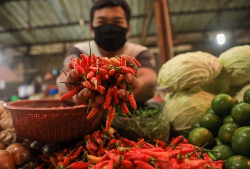 Harga Cabai di Pekanbaru Makin 'Pedas' Gegara Kenaikan Harga Bahan Bakar Minyak