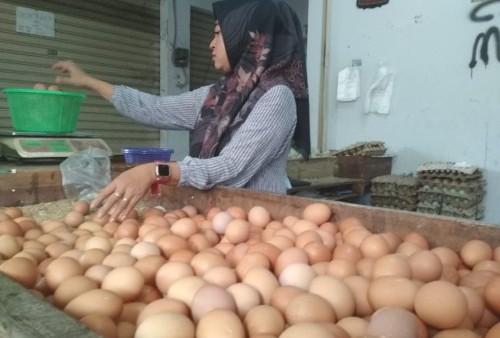 Harga Telur di Tangerang Meroket, Pedagang Mengeluh Omset Turun Hingga 65 Persen