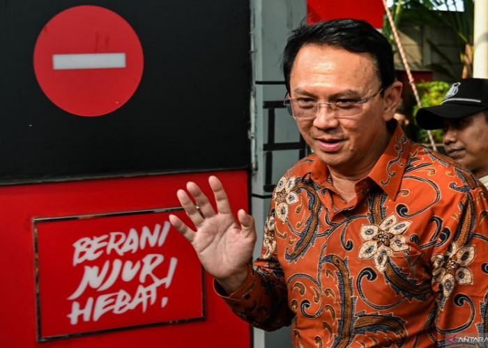 Ahok Masuk Bursa Pilgub DKI dan Sumatera Utara, Hasto: Pemimpin Diakui Keputusannya