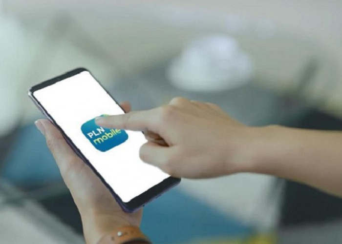 Punya Banyak Fitur Canggih, Aplikasi PLN Mobile Diunduh Lebih 35 Juta Pengguna