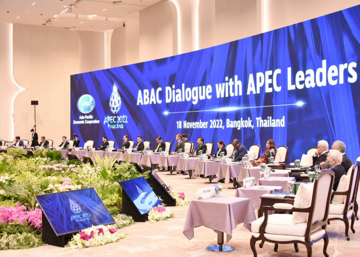 Jokowi Promosi IKN kepada Kalangan Usaha APEC