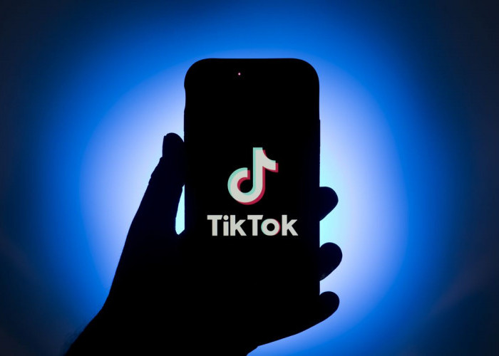 Cara Penggunaan Savefrom TikTok, Download Video Tanpa Aplikasi Tambahan 