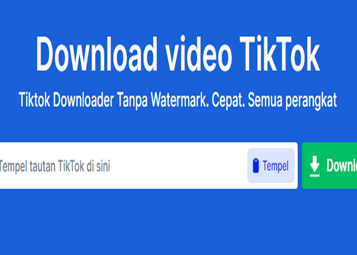 Cara Download Vidio TikTok Tanpa Watermark, Mudah Banget!