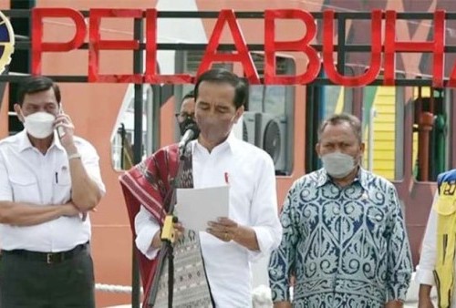 Luhut Telepon Saat Jokowi Sedang Pidato, Ketua KNPI: Opung Tidak Punya Etika dan Sopan Santun! 