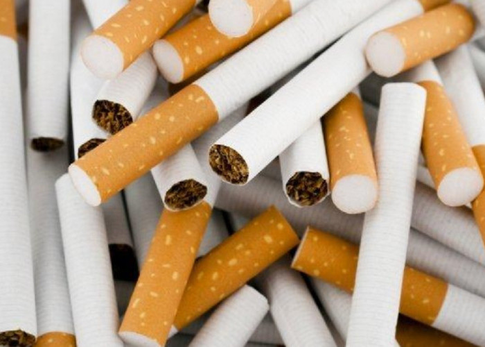Koalisi Kesehatan Desak DPR Atur Tanggung Jawab Produsen Tembakau di RUU Kesehatan
