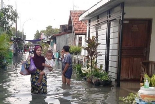 Ratusan Rumah Terendam Banjir Rob, BMKG Minta Masyarakat Tetap Waspada