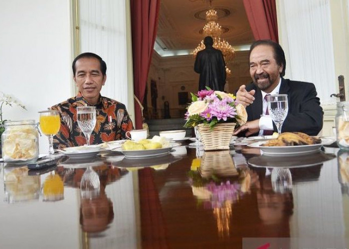 NasDem Sebut Pertemuan Jokowi dengan Surya Paloh Saling Memberikan Pandangan