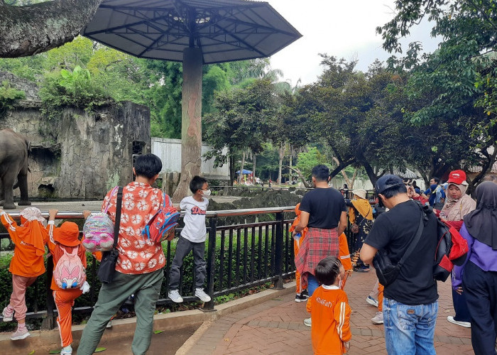 Wisata Taman Margasatwa Ragunan Dipadati 27 Ribu Lebih Pengunjung, Harga Tiket Ramah Untuk Keluarga