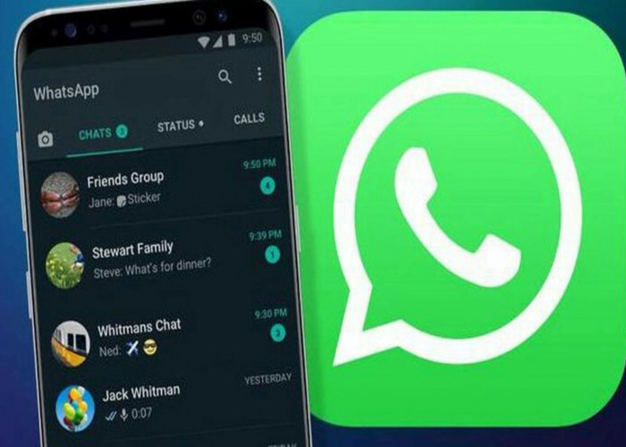 Sebelum Install, Kenali Dulu Manfaat dari Fitur-Fitur Aplikasi Whatsapp Sniffer