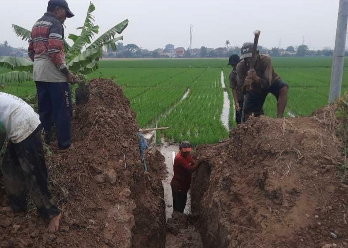 Tanggulangi Kekeringan Lahan Pertanian, Sungai di Kabupaten Bekasi Dinormalisasi