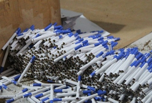 Geledah Gudang Peternakan Sapi, Bea Cukai Amankan Rokok Ilegal Senilai Rp4,82 Miliar