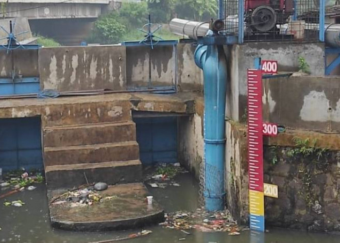 Sejumlah Wilayah di Kota Tangerang Tergenang Air Akibat Hujan Deras, BPBD: Situasi Masih Aman!