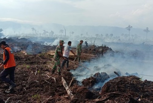  Waspada Kebakaran Hutan dan Lahan, 31 Titik Panas Terdeteksi di Sumatera