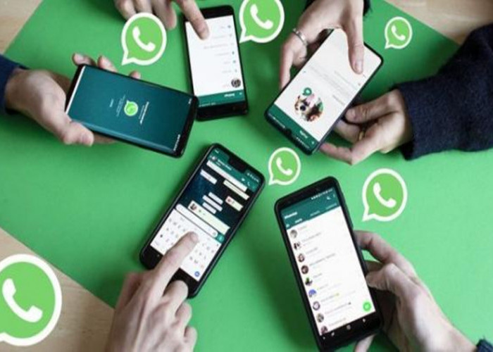 Tips dan Trik Jualan Online di WhatsApp, Tanpa Jarak dengan Pelanggan!