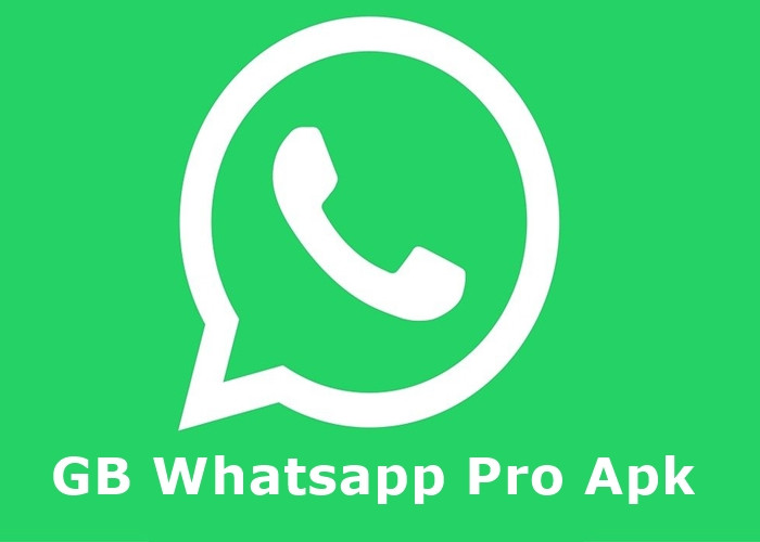 Download GB WhatsApp Pro Apk v19.30, Kapasitas Penyimpanan Hanya 48.98 MB!