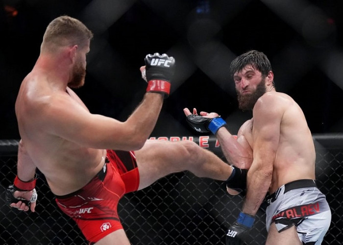 UFC 282: Jan Blachowicz Ungkap Komentar Heran Soal Hasil Imbang Kontroversi Lawan Magomed Ankalaev