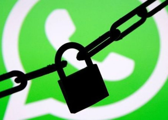 Social Spy WhatsApp, Aplikasi Untuk Sadap WhatsApp Orang Lain Hanya Dengan Nomor Akun