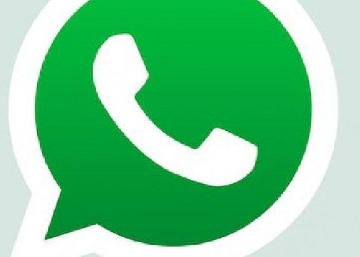 Download GB WhatsApp Terbaru v13.51 Anti Banned, Bisa Balas Pesan Otomatis