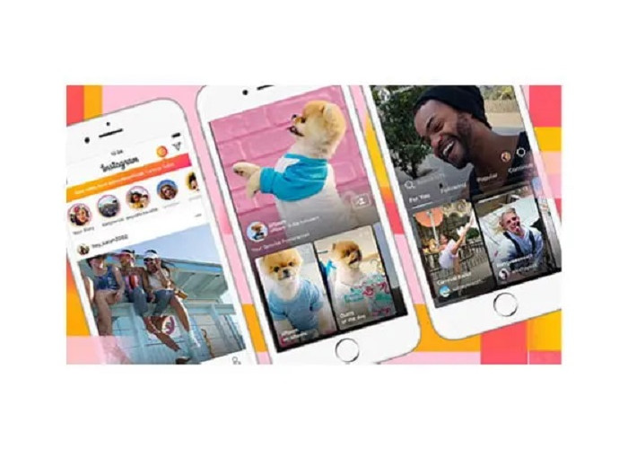 Snapinsta App: Download Instagram Story, Foto, Reel, IGTV Tanpa Aplikasi 