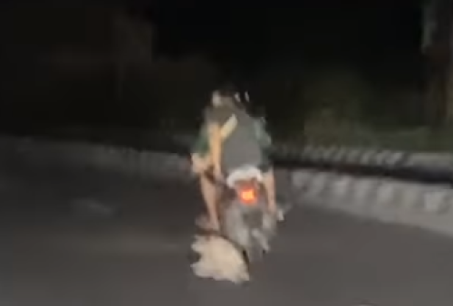 Viral Aksi 2 Pria Tega Seret Anjing di Jalan Aspal Pakai Motor, Ulahnya Banjir Kecaman Publik