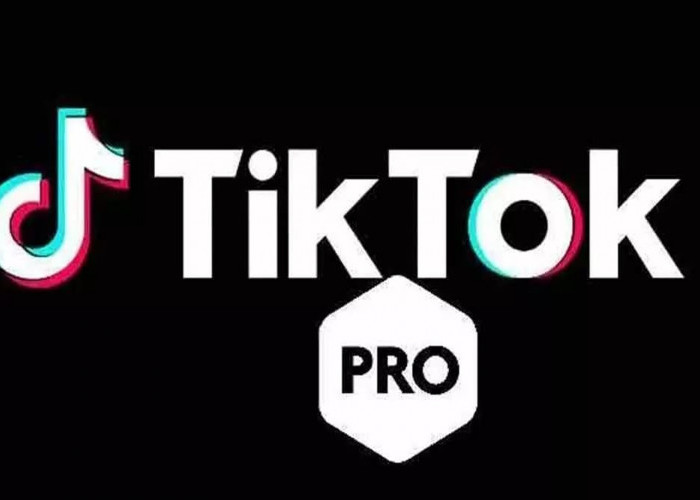 Yuk Review TikTok Pro, Keunggulan dan Kapan Harus Mulai Pakai