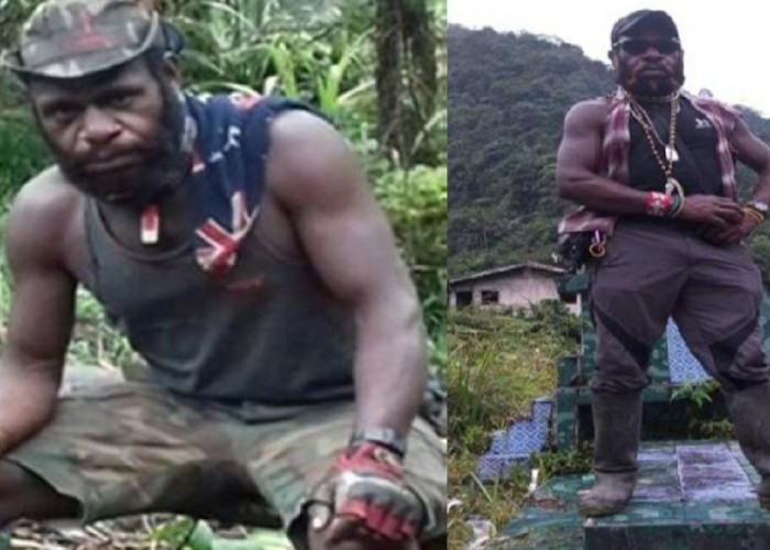 Ini Tampang 2 Anggota KKB Papua yang Tewas Usai Baku Tembak dengan Satgas Damai Cartenz di Tembagapura