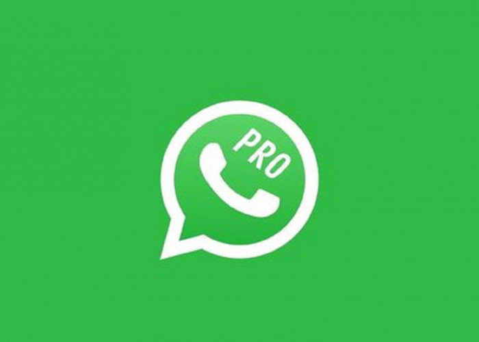 Download GB WhatsApp Pro v17.85, WA GB Terbaru dengan Fitur Premium