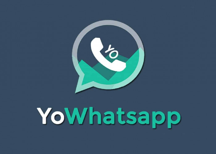 Download Yo WhatsApp Versi v9.87 Clone, Bisa Pakai Dua Akun di Satu Perangkat!