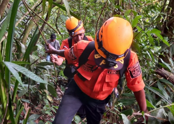 Pencarian Damsir Bagindo Kakek 80 Tahun yang Hilang Lereng Gunung Merapi Terus Dilakukan