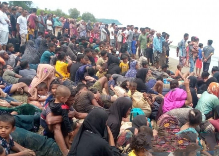 Ratusan Imigran Rohingya Kembali Berlabuh di Aceh